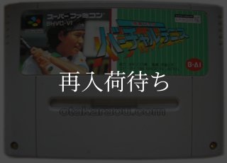 バーチャルバート スーパーファミコンソフト カセットのみ (端子清掃済