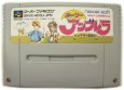 スーパーファミコンソフト電池交換  ホーリーアンブレラ ドンデラの無謀!!