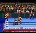 SFCソフト全日本プロレス