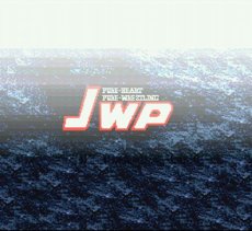 スーパーファミコンソフト画像 JWP女子プロレス
