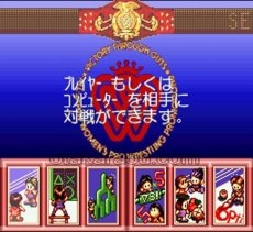 スーパーファミコン 電池交換 サービス ファイプロ女子オールスタードリームスラム