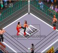 スーファミソフト スーパーファイヤープロレスリングIII イージータイプ