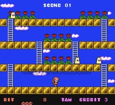 レトロゲームソフト 妖精物語 ロッドランド