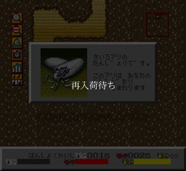 SFCソフトシムアント