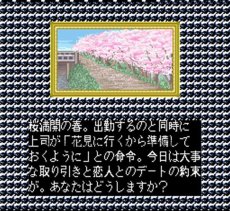 スーパーファミコン 画像 占いの迷宮