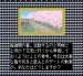 占いの迷宮 スーパーファミコンソフト / 起動確認済み プレイ画面 / Uranai no Meikyuu Super Famicom Game Gameplay Screenshot
