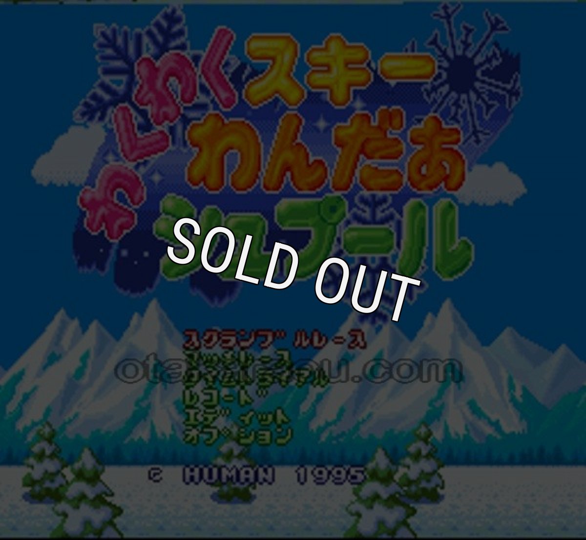 SFC ROM わくわくスキーわんだぁシュプール