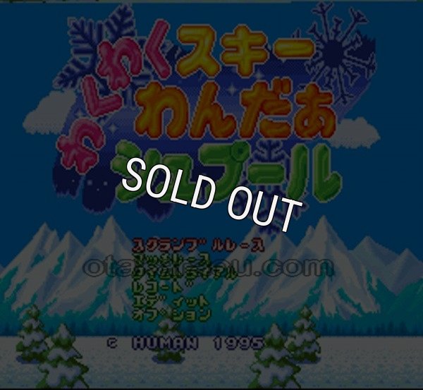 SFC ROM わくわくスキーわんだぁシュプール