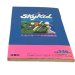 スカイキッド 必勝攻略法 ファミコン / 攻略本 商品写真 / Sky Kid Famicom Guide Strategy Guide Photo