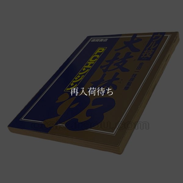 ウル技 大技林 '93 PCエンジンソフト / 端子清掃済み 動作確認済み / Uruwaza Oogajirin PC Engine Game Tested & Working