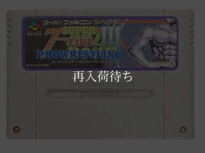 パーファイヤープロレスリングIII ファイナルバウト