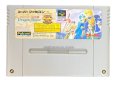 スーパーファミコンソフト  ドラゴンスレイヤー 英雄伝説II