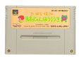 スーパーファミコンソフト  さいばらりえこの まあじゃんほうろうき