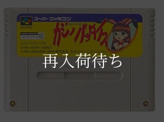 ガイア幻想紀 ソフトのみ スーパーファミコンソフト (新品電池交換可
