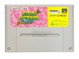 スーパーファミコンソフト  スーパー史上最強のクイズ王決定戦