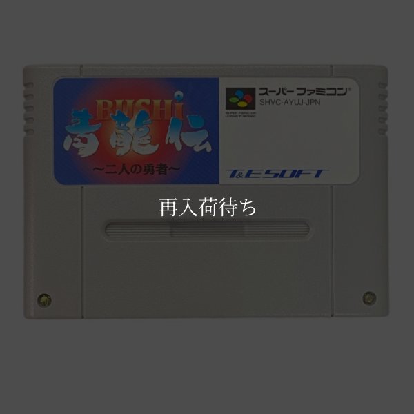 BUSHI 青龍伝 二人の勇者 スーパーファミコンソフト / 端子清掃済み 動作確認済み / BUSHI Seiryuuden Super Famicom Game Tested & Working