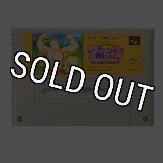 スーパーファミコンソフト サンサーラ・ナーガ2・名作スーファミ
