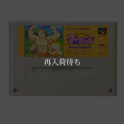 スーパーファミコンソフト  ジャングルの王者ターちゃん