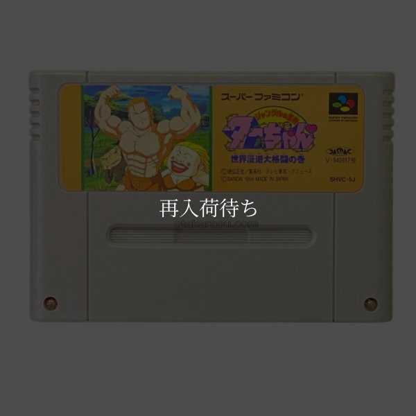 スーパーファミコンソフト  ジャングルの王者ターちゃん