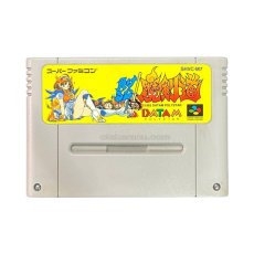 スーパーファミコンソフト  負けるな 魔剣道
