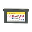 Nintendo ゲームボーイアドバンス ゲームソフトハムスターパラダイス 希少 Nintendo ゲームボーイアドバンス ゲームソフトハムスター