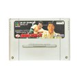 SFC AJPW Famicom
