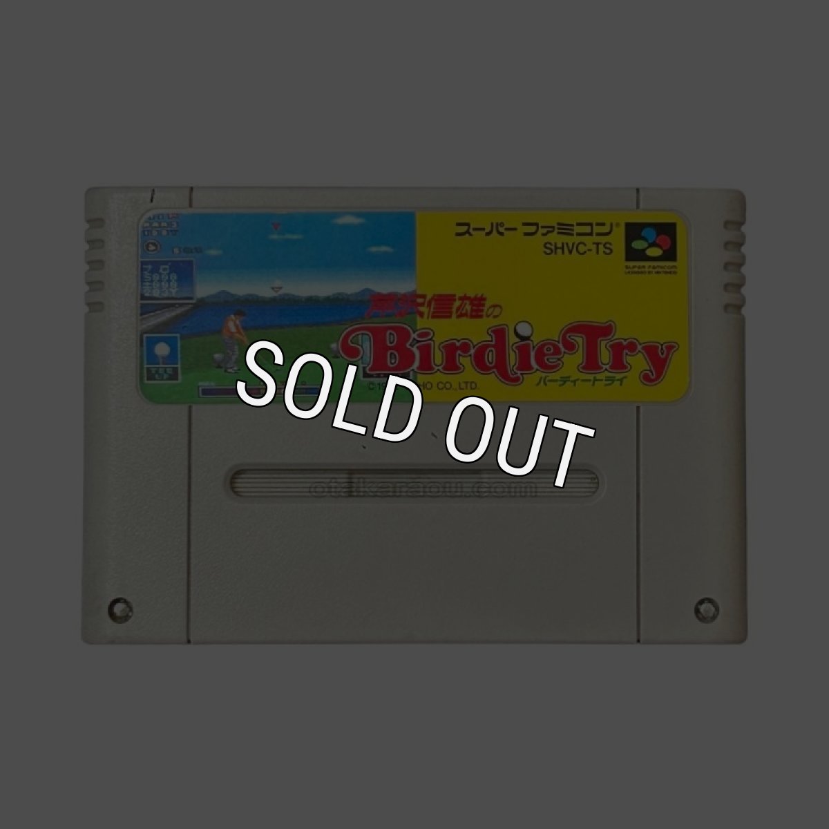 スーパーファミコンソフト  芹沢信雄のバーディートライ