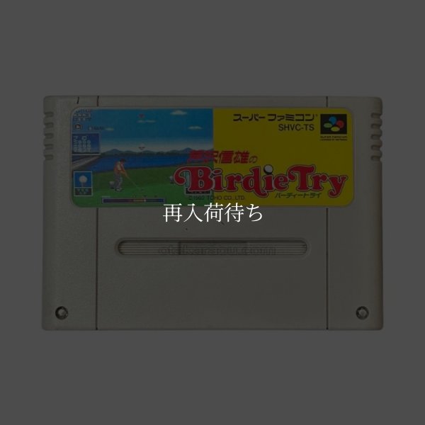 スーパーファミコンソフト  芹沢信雄のバーディートライ