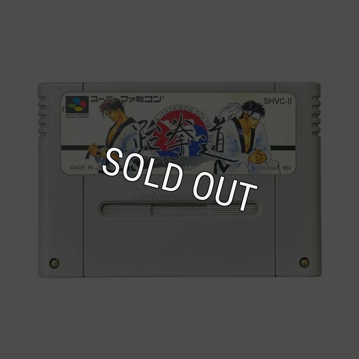 スーパーファミコンソフト  テコンドー