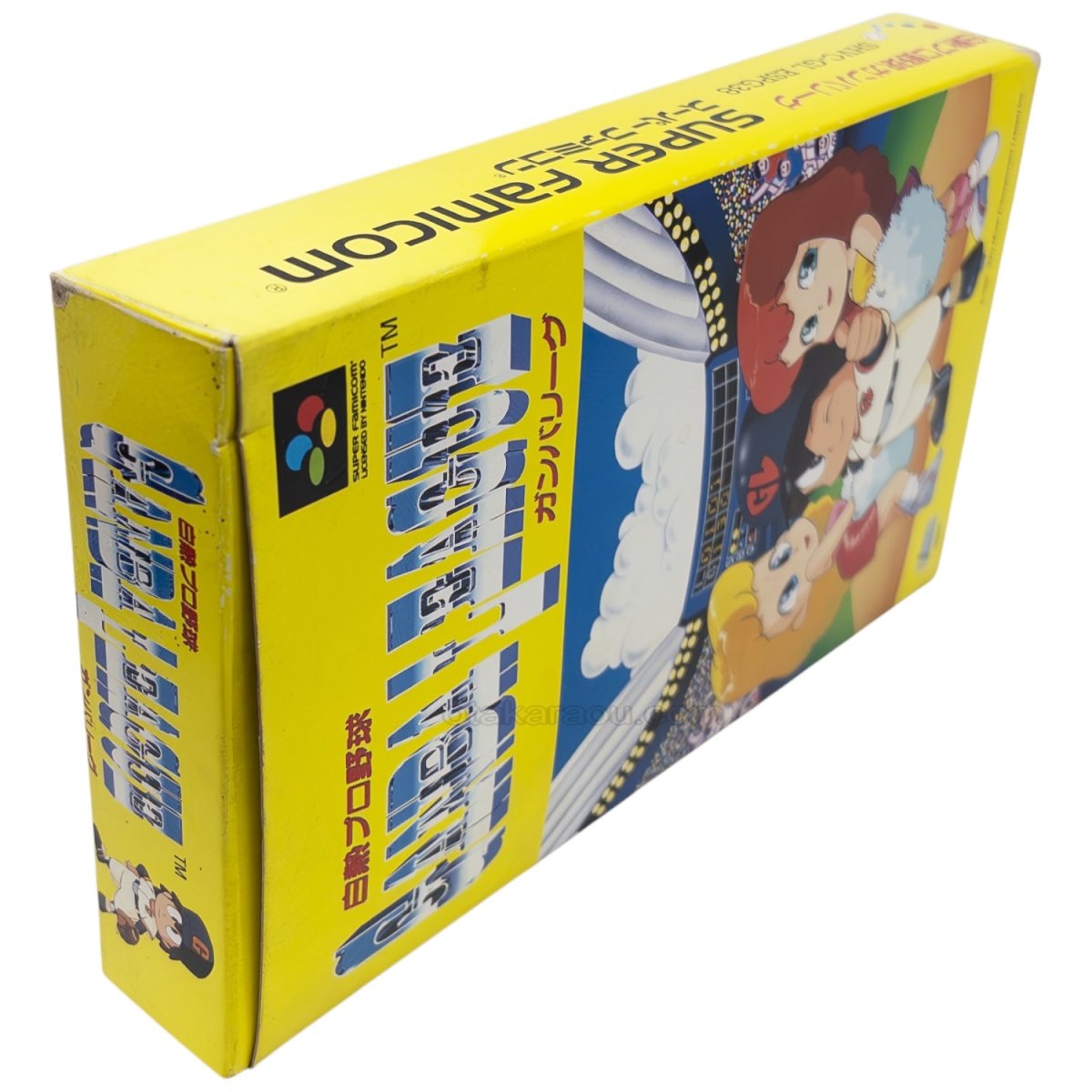 白熱プロ野球 ガンバリーグ