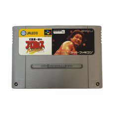 スーパーファミコンソフト  天龍源一郎のプロレスレヴォリューション