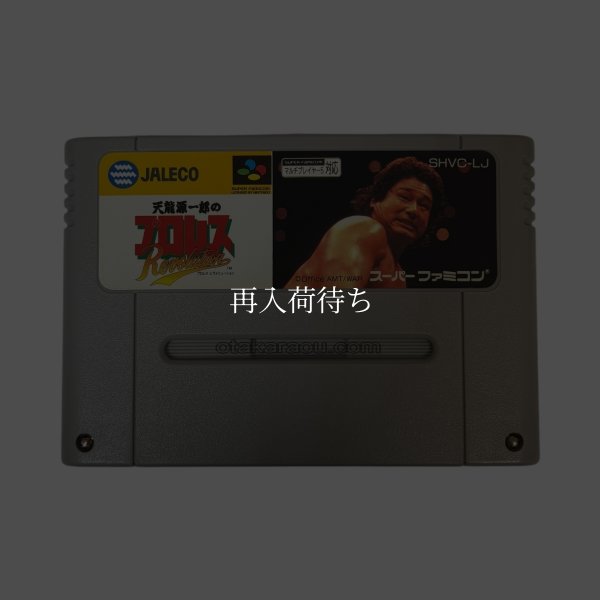 天龍源一郎のプロレスレヴォリューション スーパーファミコンソフト / 端子清掃済み 動作確認済み / Tenryu Genichiro no Pro Wrestling Revolution Super Famicom Game Tested & Working