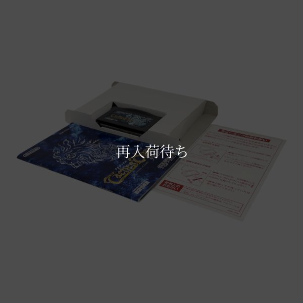 画像4: タクティクスオウガ外伝 The Knight of Lodis (4)