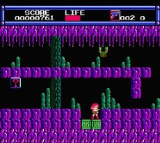 レトロゲームソフト レイラ