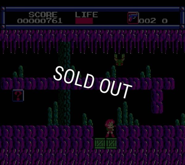 レトロゲームソフト レイラ