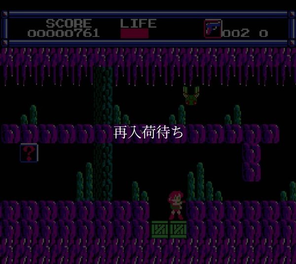 レトロゲームソフト レイラ