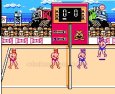 ファミコン販売 V'BALL