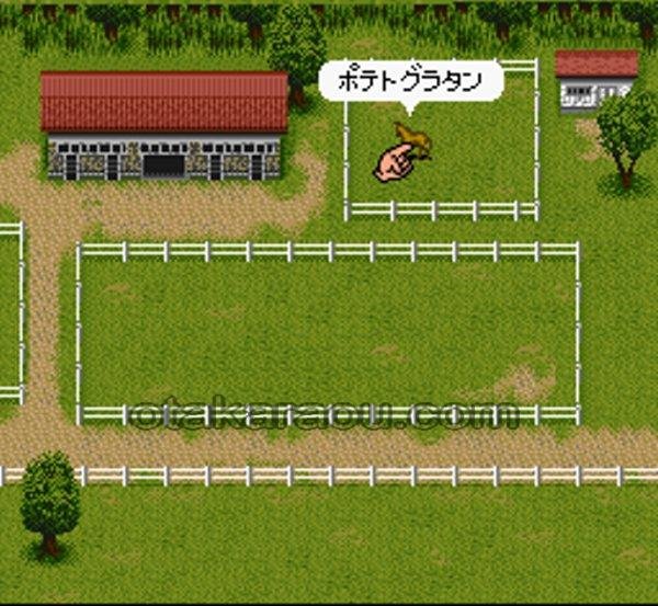 スーファミ名作 ダービースタリオンII