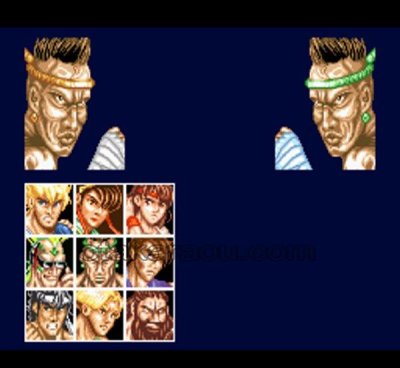 ファイターズヒストリー スーパーファミコンソフト カセットのみ (端子