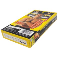 天龍源一郎のプロレスレヴォリューション