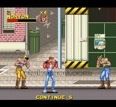 ラッシングビート スーパーファミコンソフト カセットのみ (端子清掃済