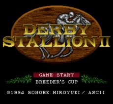 スーパーファミコンソフト 中古 ダービースタリオンII