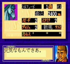 SFCソフトスーパー競走馬 風のシルフィールド