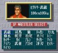 スーファミソフト スーパーファイヤープロレスリング