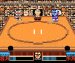 SDバトル大相撲 平成ヒーロー場所 ファミコンソフト / 起動確認済み プレイ画面 / SD Battle Oozumou Famicom Game Gameplay Screenshot