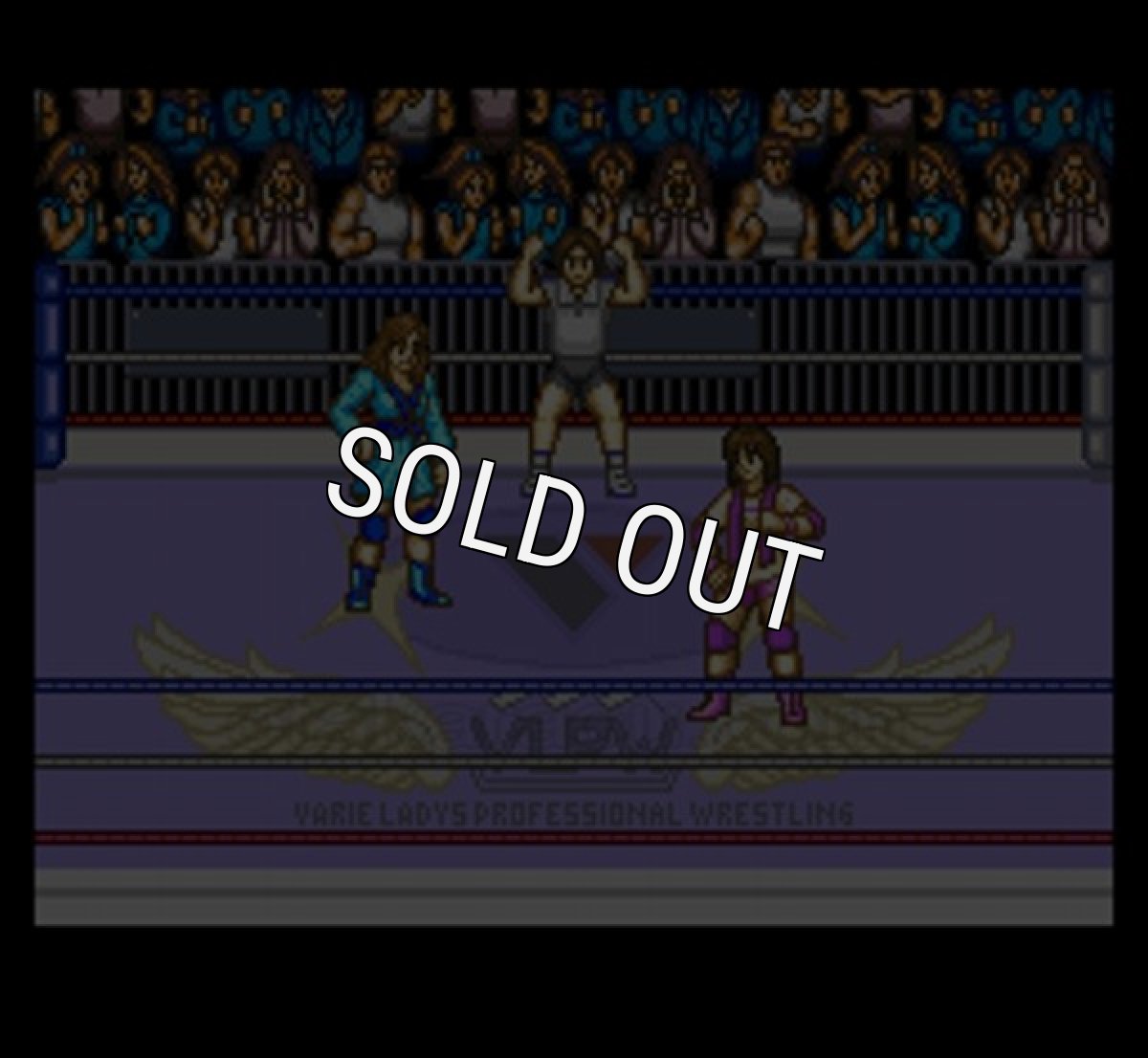 スーファミソフト スターダストスープレックス