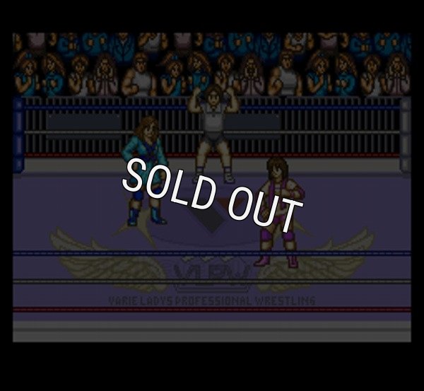 スーファミソフト スターダストスープレックス