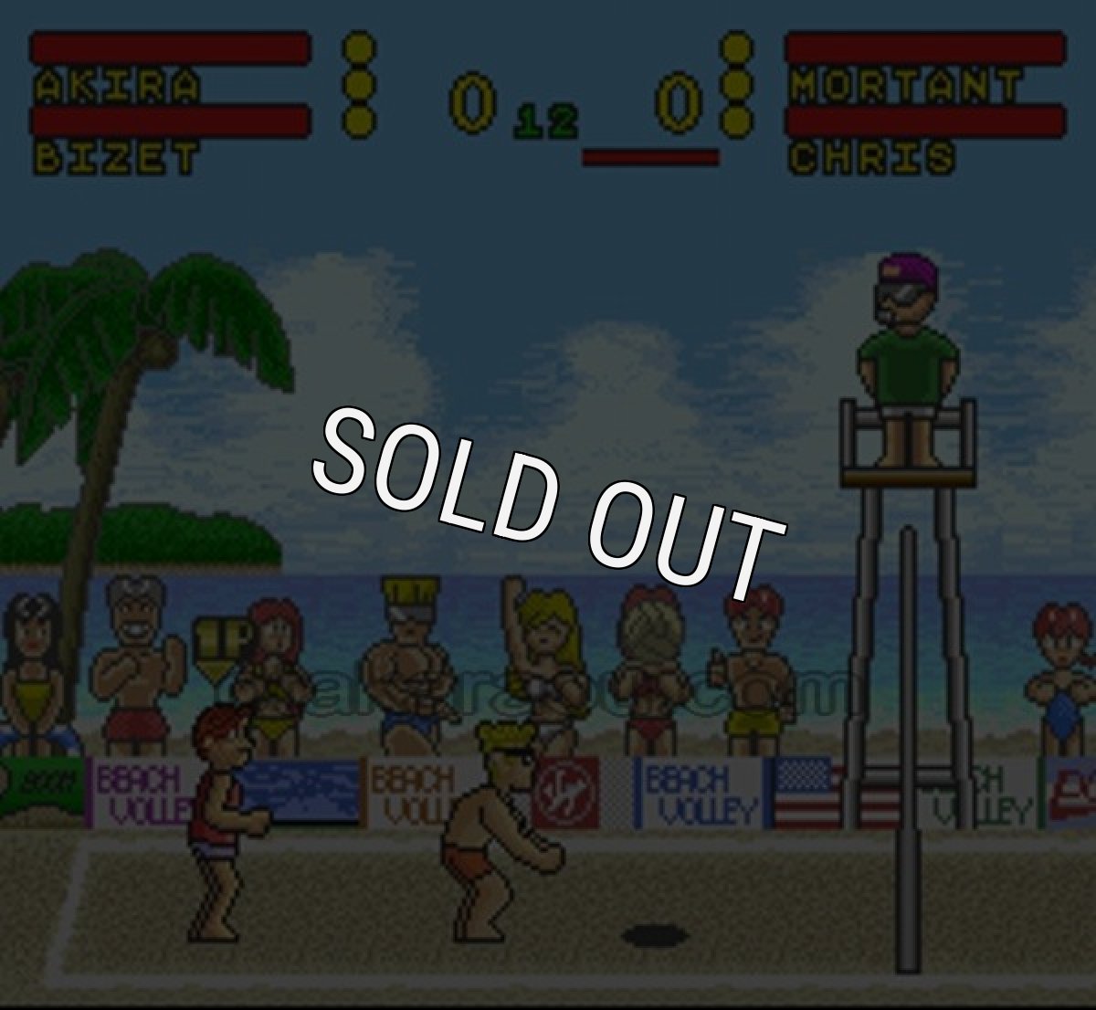 SFCソフトスーパービーチバレー