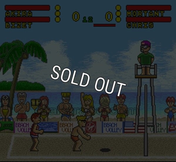 SFCソフトスーパービーチバレー