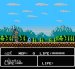 甲竜伝説 ヴィルガスト外伝 ファミコンソフト / 起動確認済み プレイ画面 / Villgust Gaiden Famicom Game Gameplay Screenshot